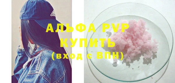 стафф Козловка