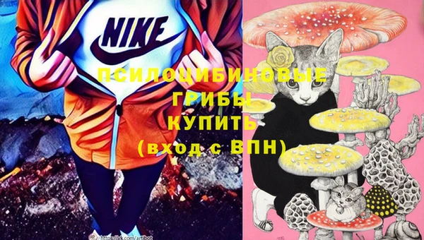 стафф Козловка
