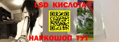 стафф Кандалакша