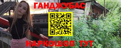 стаф Камышлов