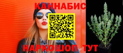 стафф Кандалакша