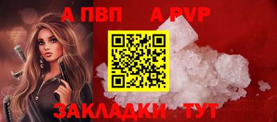 стаф Камышлов